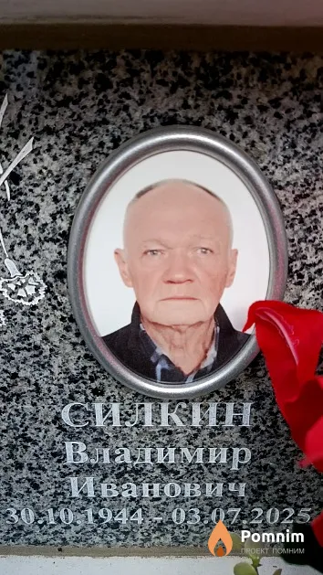 Силкин Владимир Иванович