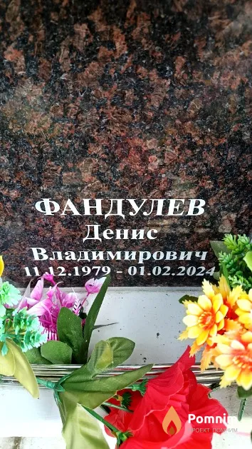 Фандулев Денис Владимирович