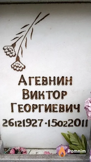 Агевнин Виктор Георгиевич