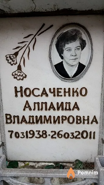 Носаченко Аллаида Владимировна