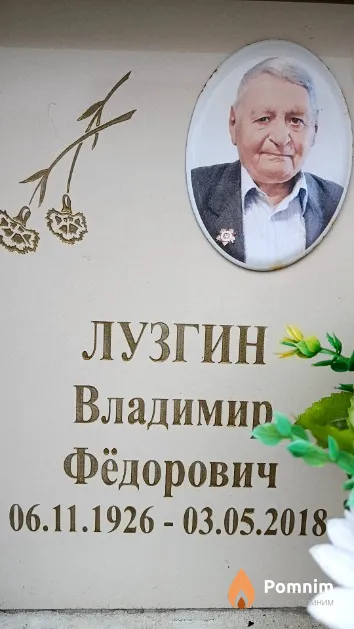 Лузгин Владимир Фёдорович