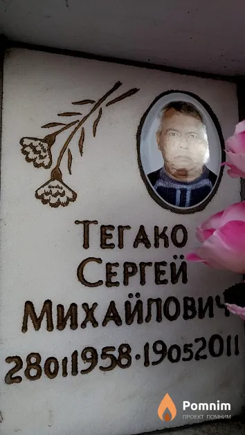 Тегако Сергей Михайлович