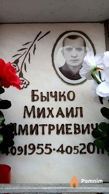 Бычко Михаил Дмитриевич