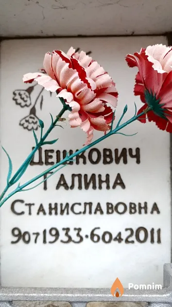 Дешкович Галина Станиславовна