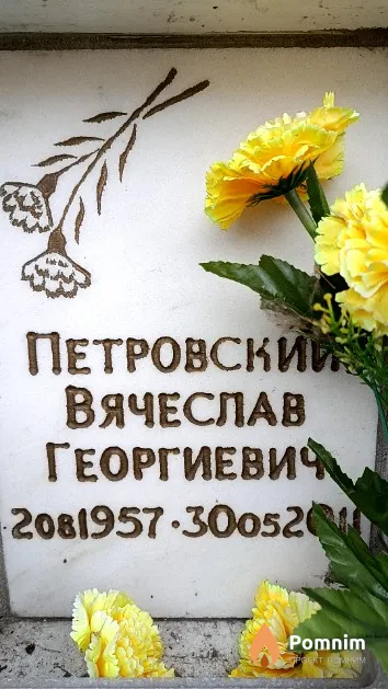 Петровский Вячеслав Георгиевич