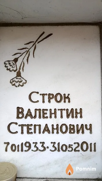 Строк Валентин Степанович