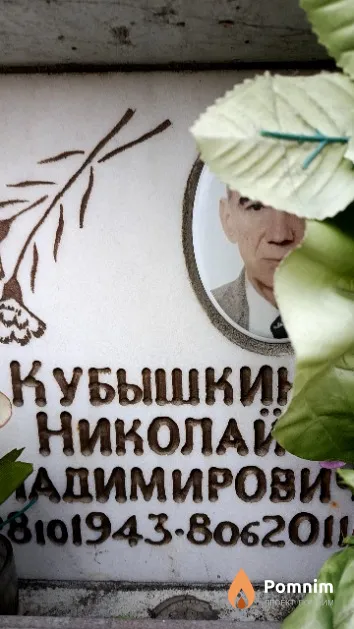 Кубышкин Николай Владимирович