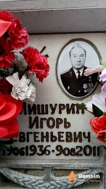 Мишурин Игорь Евгеньевич