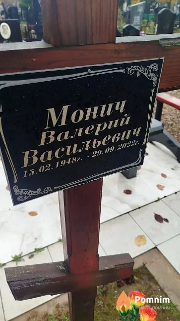Монич Валерий Васильевич