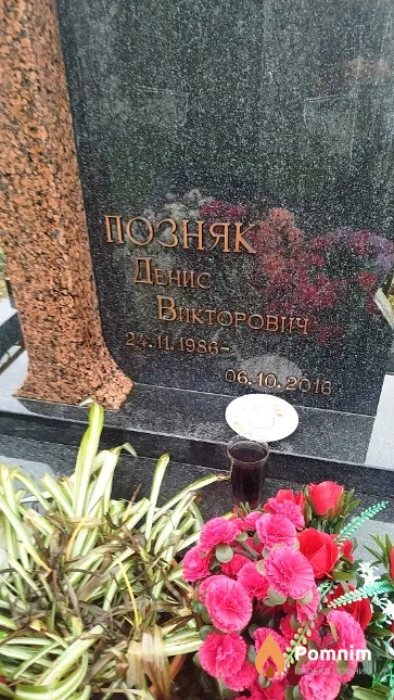 Позняк Денис Викторович