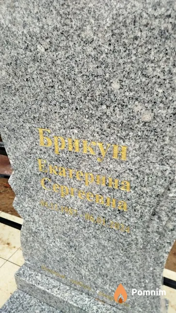 Брикун Екатерина Сергеевна
