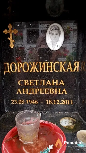 Дорожинская Светлана Андреевна