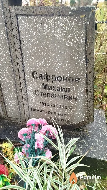 Сафронов Михаил Степанович