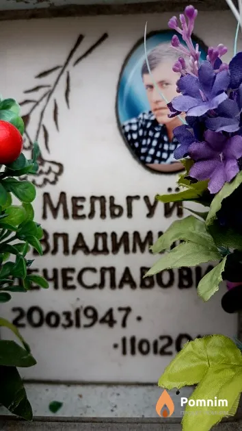 Мельгуй Владимир Мечеславович