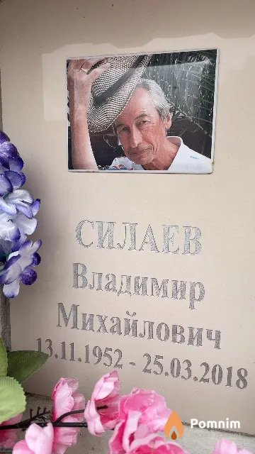 Силаев Владимир Михайлович
