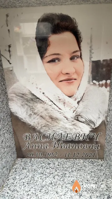 Василевич Анна Ивановна