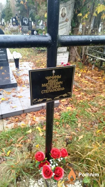 Чичина Татьяна Степановна