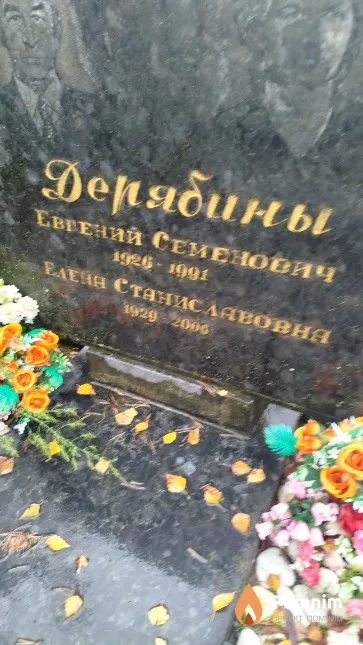 Дерябина Елена Станиславовна
