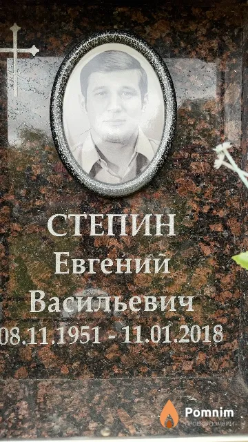 Степин Евгений Васильевич