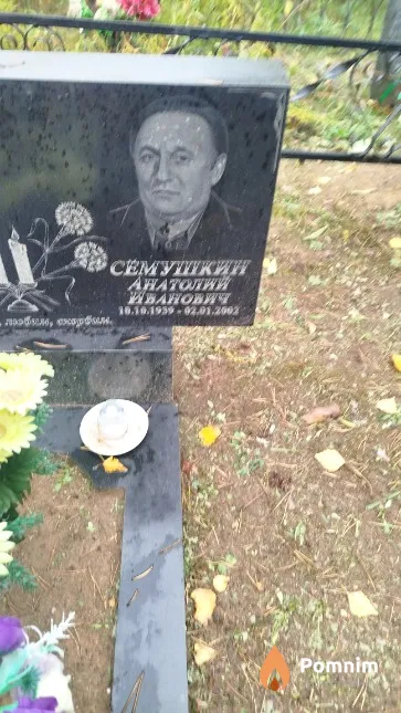 Семушкин Анатолий Иванович