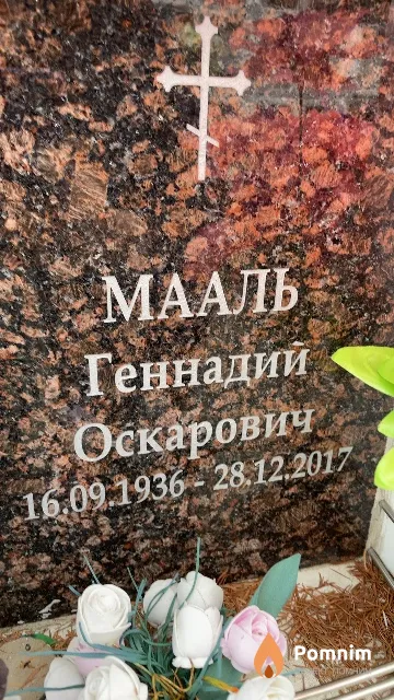 Мааль Геннадий Оскарович