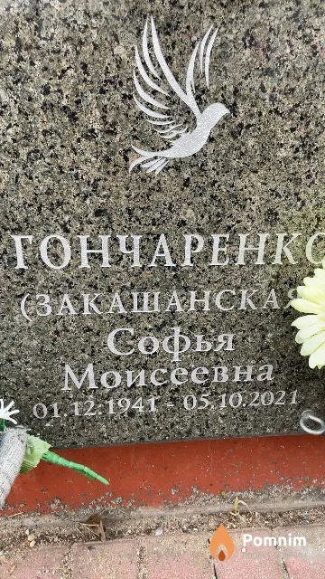 Гончаренко (Закашанская) Софья Моисеевна