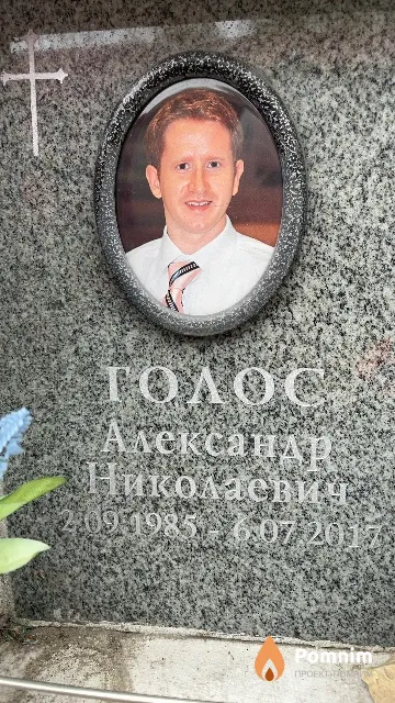 Голос Александр Николаевич