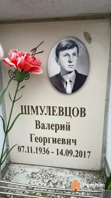 Шмулевцов Валерий Георгиевич