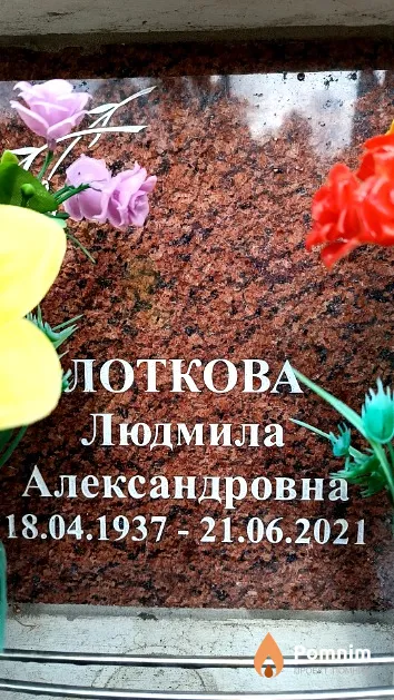 Лоткова Людмила Александровна