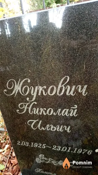 Жукович Николай Ильич