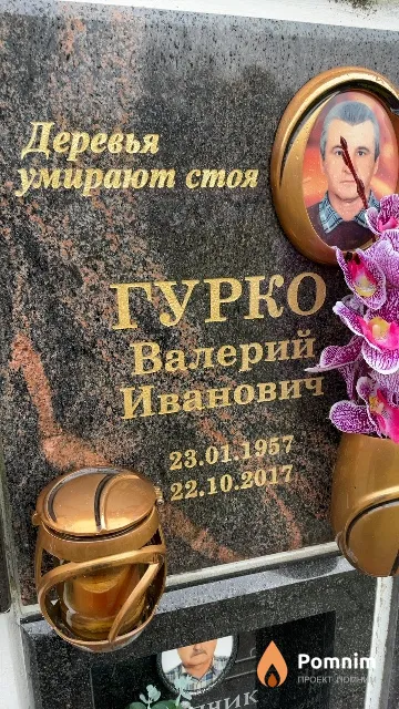 Гурко Валерий Иванович