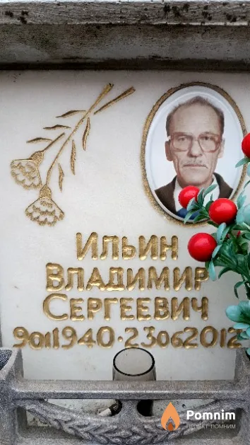 Ильин Владимир Сергеевич
