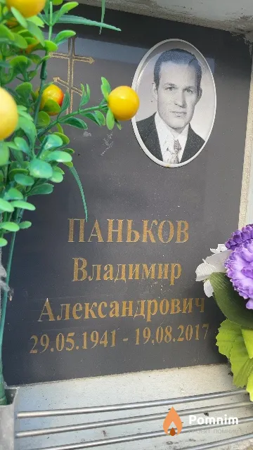 Паньков Владимир Александрович