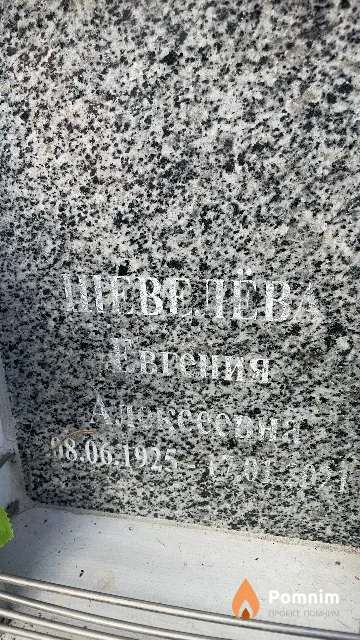 Шевелёва Евгения Алексеевна