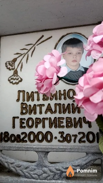 Литвинов Виталий Георгиевич