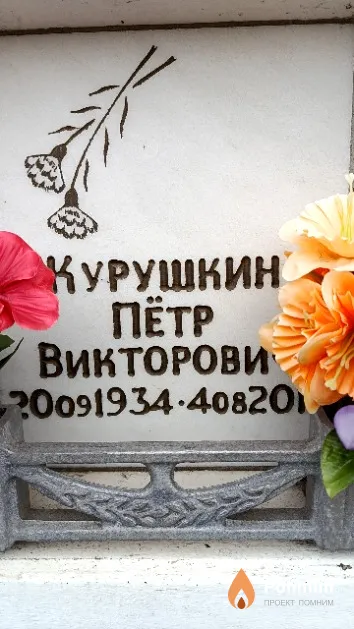 Курушкин Пётр Викторович