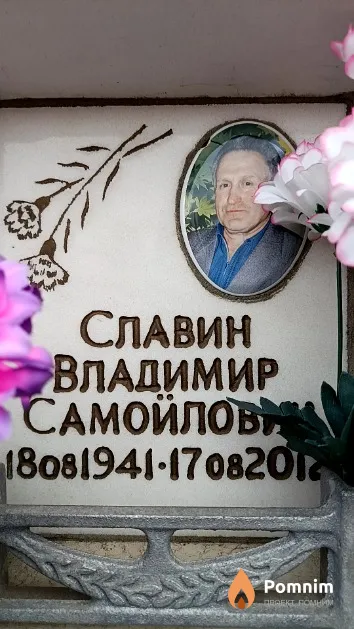 Славин Владимир Самойлович