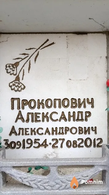 Прокопович Александр Александрович