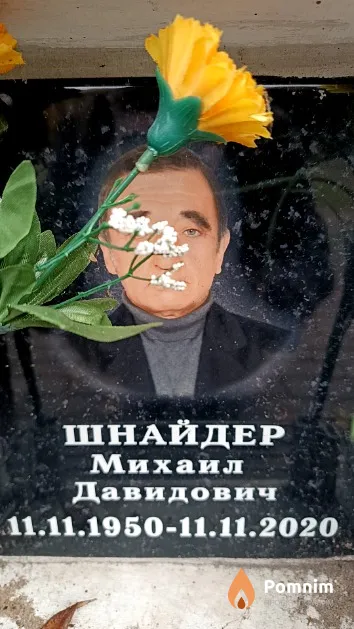 Шнайдер Михаил Давидович