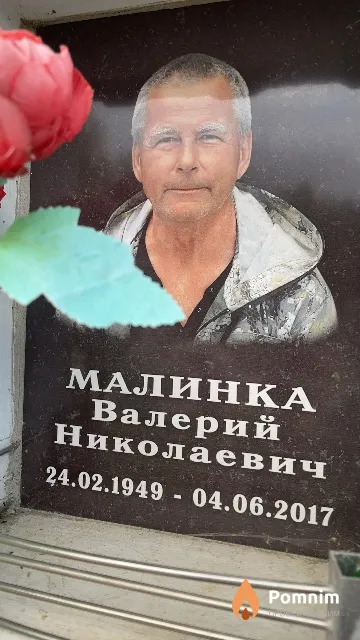 Малинка Валерий Николаевич