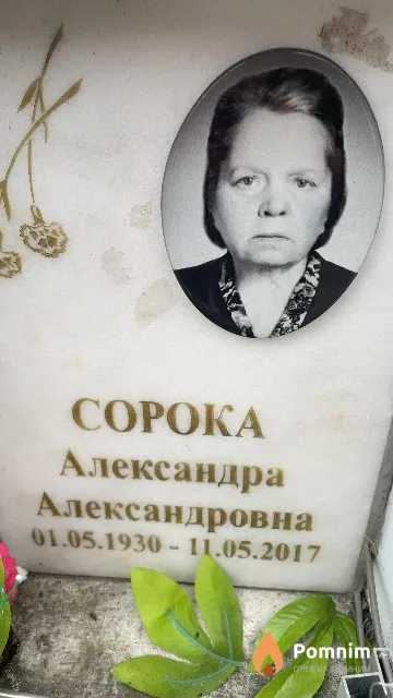 Сорока Александра Александровна