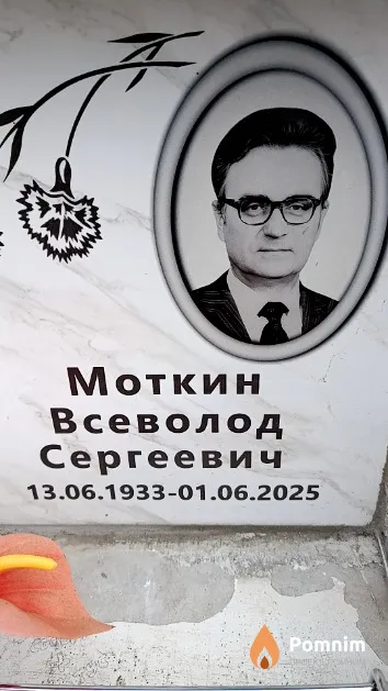 Моткин Всеволод Сергеевич