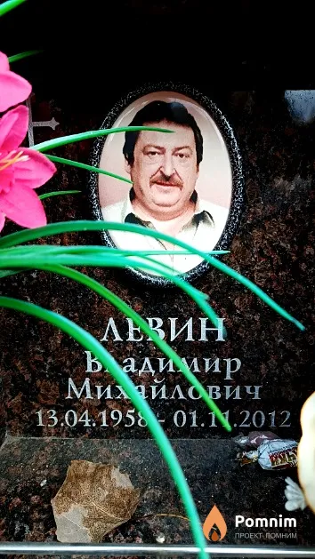 Левин Владимир Михайлович