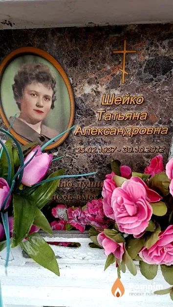 Шейко Татьяна Александровна
