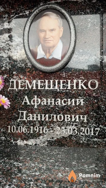 Демещенко Афанасий Данилович