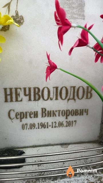 Нечволодов Сергеи Викторович