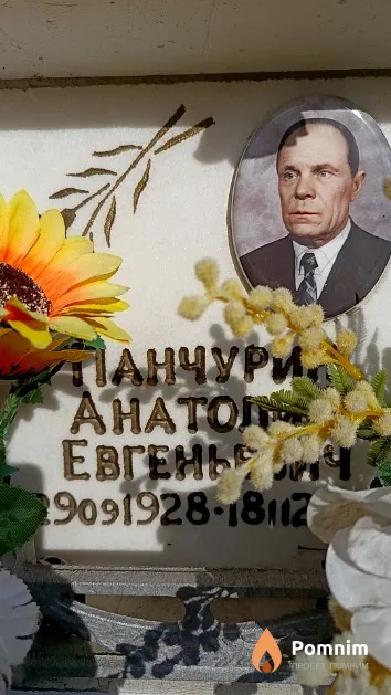Панчурин Анатолий Евгеньевич