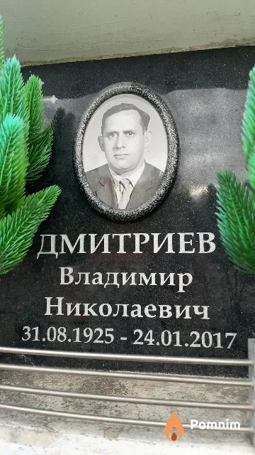 Дмитриев Владимир Николаевич
