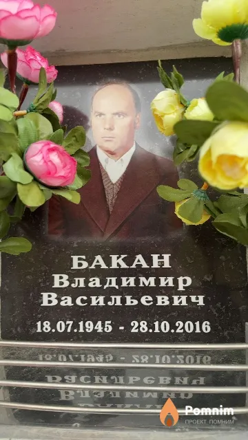 Бакан Владимир Васильевич