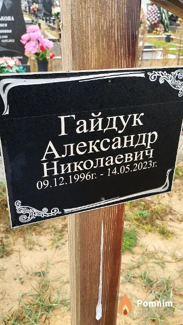 Гайдук Александр Николаевич